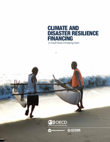 Climate and Disaster Resilience Financing in Small Island Developing States
