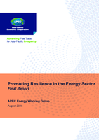 Promoting Resilience in the Energy Sector