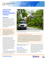 Power Sector Resilience: Flexible Adaptation Pathways
